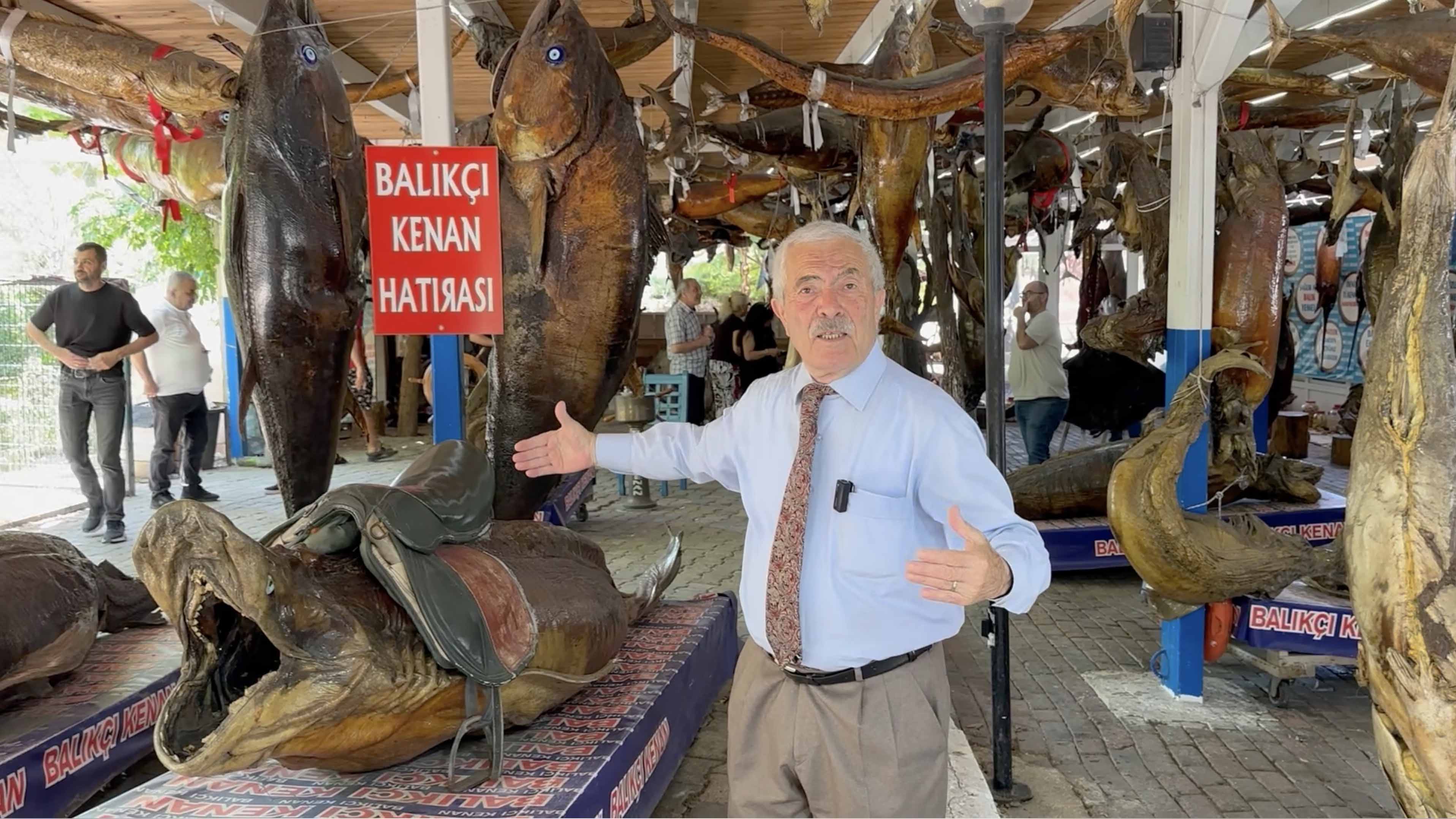 MUMYA BALIKLAR ARASINDA SIRA DIŞI YOLCULUK